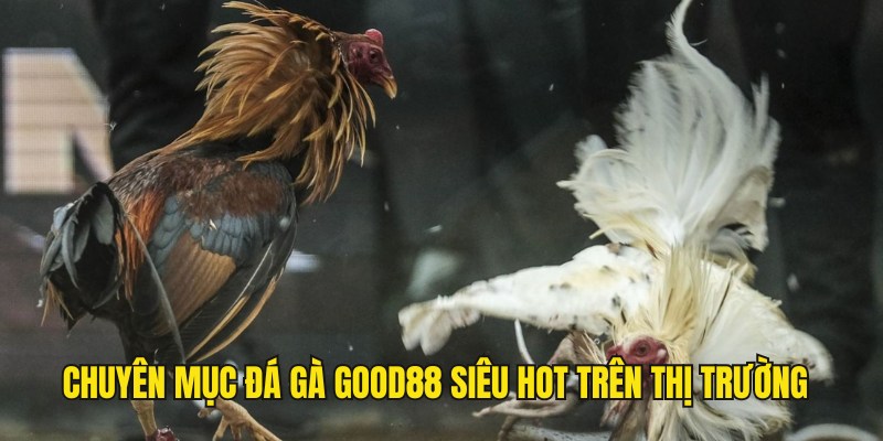 Chuyên mục đá gà Good88 nổi tiếng và siêu hot tại Châu Á